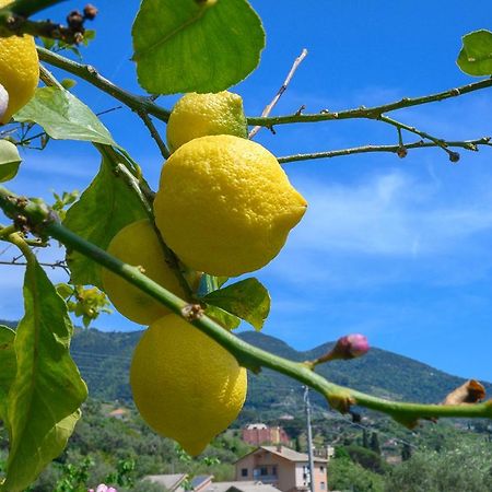 Villa Casa Limoni à Monterosso al Mare Extérieur photo